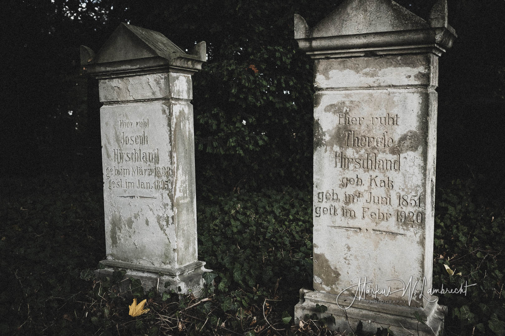 Steinheim (Westfalen), Jüdischer Friedhof